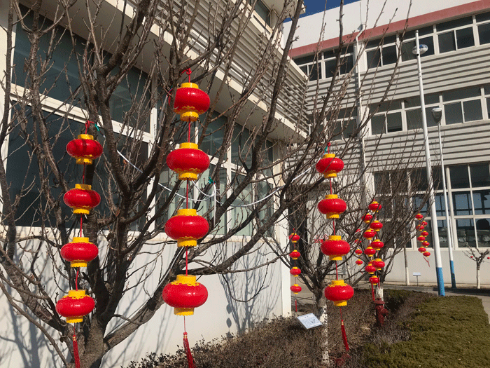 烟台星空官方网站化工恭祝大家2021牛年行大运
